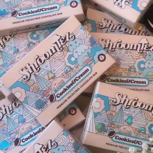 Shroomiez 4 gram mushroom bars