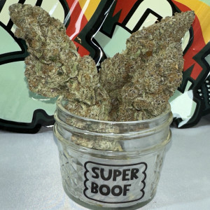 PTA Super boof