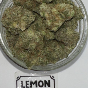 lemon Skunk