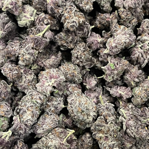 PTA Super Buff Cherry