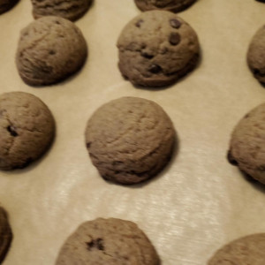 100mg FECO Kindly Baked Confections Cookies (5 cookies)